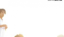 8x麻豆,揭秘网络红人的崛起之路